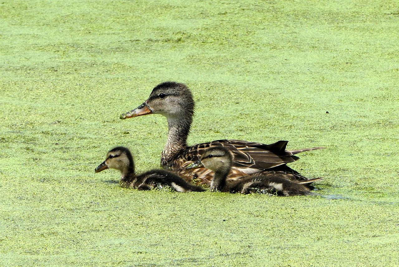 ひとり親が高年収を得ながら育児疲れを解消する方法は？