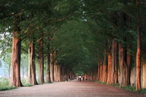 ひとり親が出会いを求めるための効果的な方は？