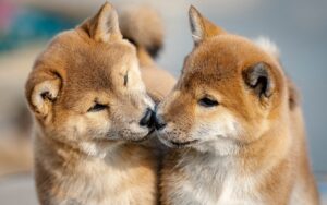 母子家庭が学童に預けられない理由とその解決策は？