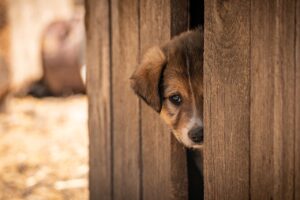 父子家庭が直面する精神的限界を乗り越える方法は？