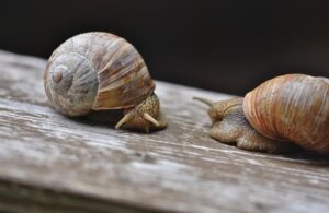 ひとり親の相談は依頼前に何を確認すべき？