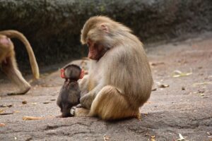 父子家庭の子供が母親を欲しいと思う理由とは？