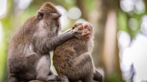 ひとり親が相談できることは何か？